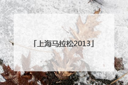 「上海马拉松2013」上海马拉松2022年比赛时间