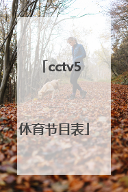 cctv5体育节目表