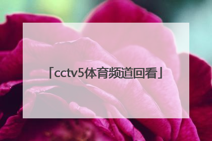 「cctv5体育频道回看」CCTV5体育频道主持人