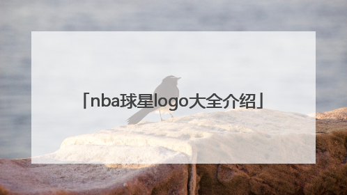 「nba球星logo大全介绍」nba球星logo大全介绍 名字